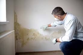 Best HVAC Mold Inspection and Cleaning  in Slocom, AL